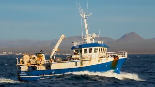 2313 Ásdís ÍS 2  Fishing Trawler  Iceland [upl. by Humfrey738]