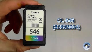 How to Refill Canon CL546 8289B004 Colour Ink Cartridge [upl. by Kcirde621]