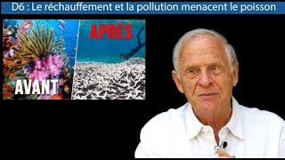 D6 Le réchauffement et la pollution menacent également les poissons [upl. by Ydnak302]