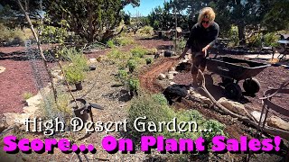 Adding Natives Plants To A New Garden Bed amp Plant Sale Shopping For My Birthday At Warners Nursery [upl. by Elliven]