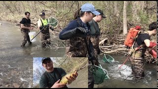 Electrofishing Canastota Creek Environmental Biology Program at Cazenovia College [upl. by Aisad234]