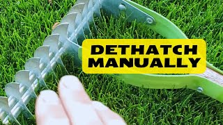 How To Manually Dethatch A Lawn [upl. by Ailimac]