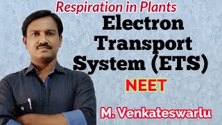 Electron Transport System ETS and Oxidative Phosphorylation [upl. by Akeihsal]