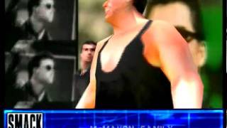 Shane amp Vince FAMILY  Entrance  WWF Smackdown 2 Know Your Role PSX [upl. by Alveta405]