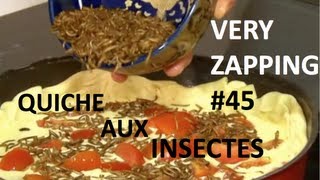 Quiches aux insectes clash chez les Chtis [upl. by Dlanar]