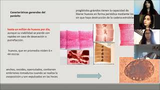 Difilobotriasis Diphyllobothrium latum [upl. by Tsew]