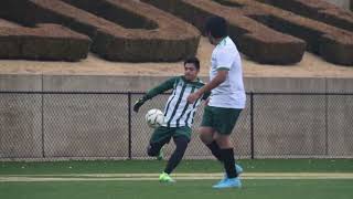 Danville High School soccer highlights  Jair Campos Goalkeeper 🧤⚽ [upl. by Borszcz]