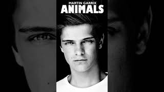 Martin Garrix  Animals [upl. by Fusco154]