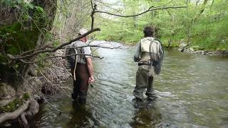 quotLozère Fishing Tourquot  jour 1  Le Lot amont [upl. by Edmon72]