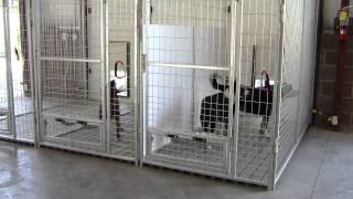 K9 Kennel Store Inside Outside Dog Kennel System [upl. by Garv850]