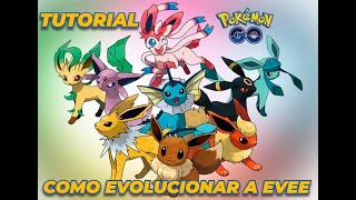 ⭐​TUTORIAL⭐​COMO EVOLUCIONAR a EEVEE en sus 8 FORMAS en Pokemon Go [upl. by Filahk]