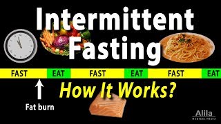 Intermittent Fasting  How it Works Animation [upl. by Bevis]