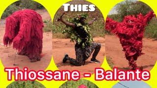 Documentaire  Thiossane Balante du jamais vu a Thies [upl. by Dolly560]