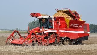 Grimme Tectron 415  Loonbedrijf Van Hal  plantaardappelen rooien [upl. by Htebyram53]