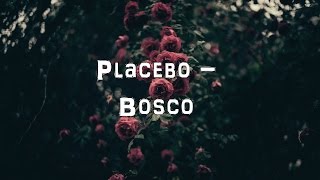 Placebo  Bosco Acoustic CoverLyricsKaraoke [upl. by Eibrad280]