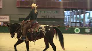 Séance de dressage dun cheval western – salon du cheval 2017 [upl. by Aicital]