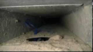 Amistee Duct Cleaning Video [upl. by Atekram51]