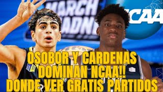 GREAT OSOBOR Y ALVARO CARDENAS ESPAÑOLES QUE DOMINAN LA NCAA COMO VER GRATIS  MOUNTAIN WEST PREVIA [upl. by Azmuh]