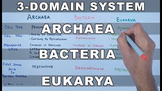 Archaea  Bacteria  Eukarya [upl. by Eldoree]