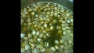 quot RECETAS DE CARACOLES quot CARACOLES LA RUBIA [upl. by Nerrual]