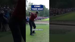 Tiger Woods INCREDIBLE recovery 😱 [upl. by Raddi]