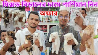 মিক্সড বিড়ালের দামে পার্শিয়ান বিড়াল কিনুন  Persian cat price in Bangladesh  Biggest Animal market [upl. by Ylicis800]