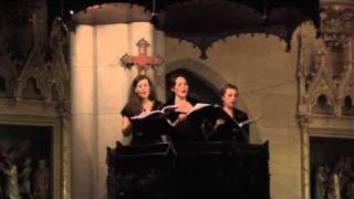 Monteverdi Vespers 1610 Sancta Maria ora pro nobis  The Green Mountain Project 2011 [upl. by Frannie778]