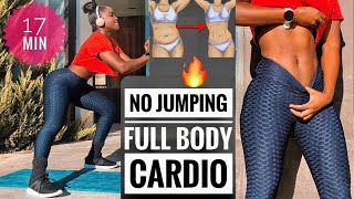 NO JUMPING🤫FULL BODY FAT LOSS CARDIO In 2 WeeksLow Impact Free Home Workout Guide [upl. by Nauaj]