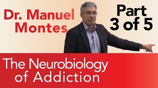 Dr Montes Neurobiology of Addiction Part 3 of 5  The Treatment Center [upl. by Doy]