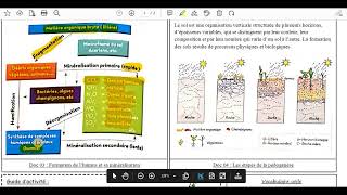 20Formation de lhumus et sa minéralisation [upl. by Langan440]