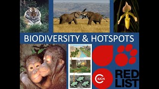 BIODIVERSITY amp HOTSPOTS [upl. by Affay306]