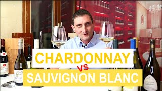 Chardonnay Vs Sauvignon Blanc Comparing the 2 Most Popular Types of White Wine [upl. by Ilaire]