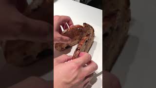 The BLT Enough said ForYouPage HomeCookingShow YouTubeShorts [upl. by Mcmath]