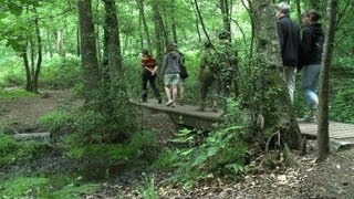 Sur les traces du roi Arthur dans la forêt de Brocéliande [upl. by Jutta]