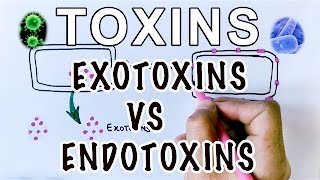 Overview of Toxins  Exotoxins Vs Endotoxins [upl. by Salohcin]