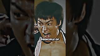 bruce lee fight scenes [upl. by Polly]