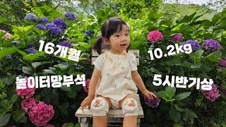 16개월아기발달🐰아직종달기상수국카페🪻양육태도반성 [upl. by Voe]