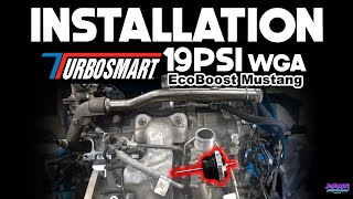 How to install a 19PSI Turbosmart Wastegate  20152023 EcoBoost Mustang [upl. by Figone]