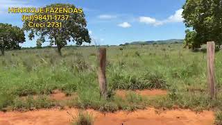 FAZENDA TODA PLANA NO TOCANTINS APTIDÃO LAVOURA E PECUÁRIA PLANA [upl. by Aryan5]