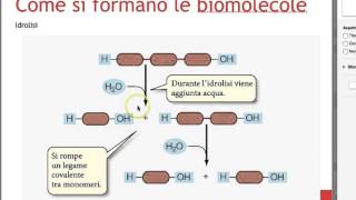 biomolecole [upl. by Ainola593]