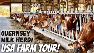 Touring Hoards Dairyman Farm [upl. by Aynna]