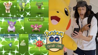 I Tried to Catch EVERY NEW SHINY at Safari Zone Seville Pokémon GO [upl. by Evangelin640]