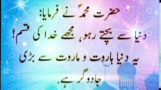 best aqwal E Zareen Urdu poetry mubashir832 [upl. by Omoj206]