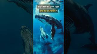 Facts About Blue Whale  Largest Animal bluewhales shorts bigfish [upl. by Staal]