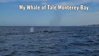 Reginas Whale of a Tale Adventures at Monterey Bay CA [upl. by Nnanaej650]