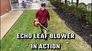 Blowing Grass amp Leafs With An Echo Leaf Blower [upl. by Yrrot]