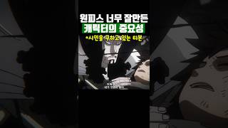 원피스 너무 잘 만든 캐릭터의 중요성 [upl. by Carma]