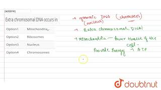 Extra chromosomal DNA occurs in [upl. by Louisette49]