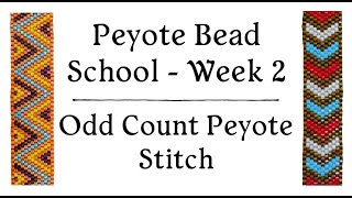 Odd Count Peyote Stitch  Peyote Bead School  Week 2 [upl. by Binni]