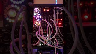 shorts Euclidean Circles V2 Squarp Instruments Rample Varigate 4 experimentalmusic synth [upl. by Halley]